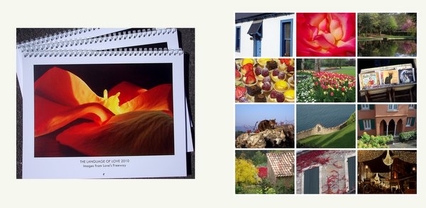 Calendar cover and thumbnails of each month